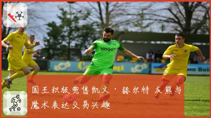 国王积极兜售凯文·赫尔特 灰熊与魔术表达交易兴趣